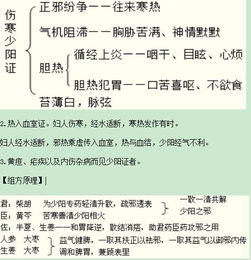 初級中藥師基礎知識講義