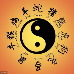 八字入門(mén)的十六個(gè)基礎知識
