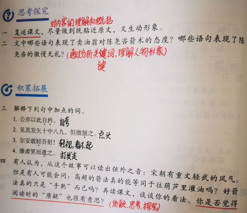 學(xué)生有效積累基礎知識