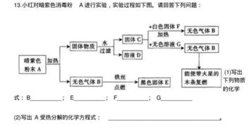 中考化學知識點基礎