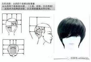 沙宣美發(fā)基礎理論知識九個(gè)