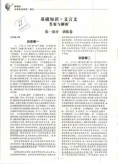 基礎知識,高考語(yǔ)文