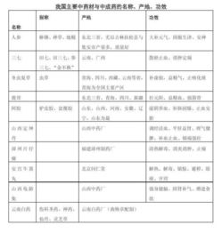 表格文件基礎知識