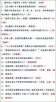 基礎知識,小學(xué)生