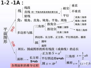 人教版小升初數(shù)學(xué)基礎(chǔ)知識