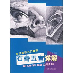 石膏五官基礎(chǔ)理論知識