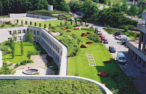 綠化基礎知識