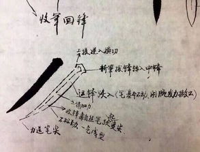 初中基礎書(shū)法知識點(diǎn)