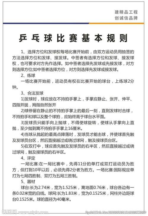 乒乓球基礎(chǔ)知識(shí)和規(guī)則