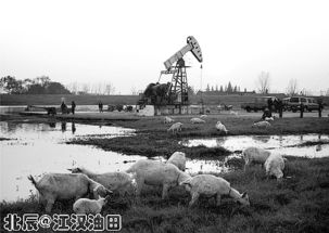 江漢油田采油地質基礎知識