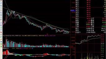 理論知識,入門(mén),基礎,股票