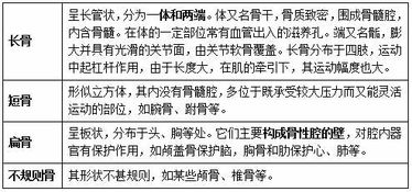 醫學(xué)基礎知識考試卷